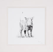 Warthog limited edition print